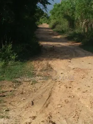 පදිංචියට අගනා ඉඩමක් හම්බන්තොට