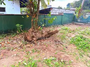 Land in 84 Namal Uyana Walpola Mulleriyawa New Town Angoda