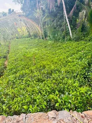 Land for Sale in Elpitiya