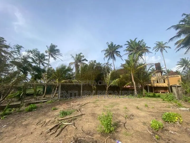 Beach Front Land for Sale in Pamunugama