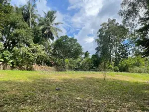 135 Perches Land for Sale in Horana – Wagawaththa