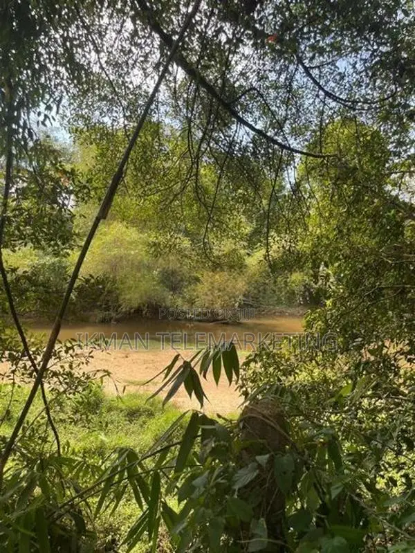 135 Perches Land for Sale in Horana – Wagawaththa