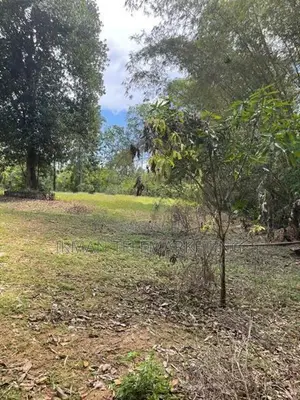 135 Perches Land for Sale in Horana – Wagawaththa