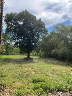 135 Perches Land for Sale in Horana – Wagawaththa