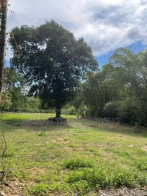 135 Perches Land for Sale in Horana – Wagawaththa