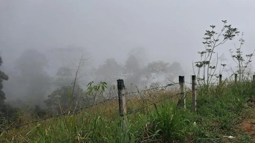 Valuable Land for Sale in Pussellawa Wahurupitiya