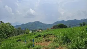 Valuable Land for Sale in Pussellawa Wahurupitiya