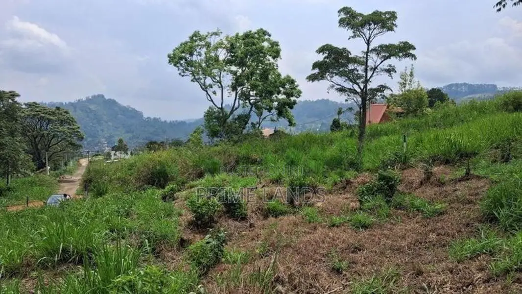 Valuable Land for Sale in Pussellawa Wahurupitiya