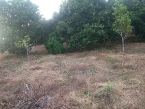 Land For Sale in Trincomalee