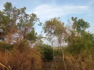 Land For Sale in Trincomalee