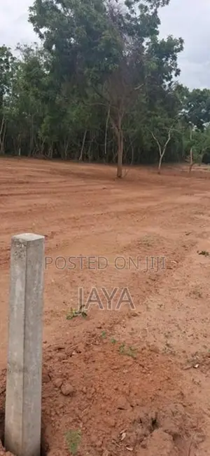 තංගල්ලෙන් ප්‍රධාන පාරට මුහුණලා බිම් කොටස් කිහිපයක්