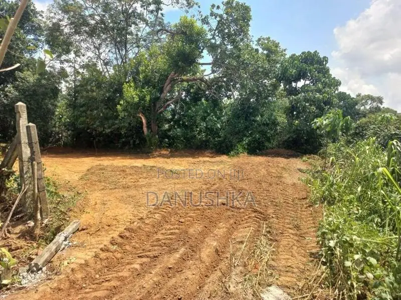 Land For Sale in Pitipana
