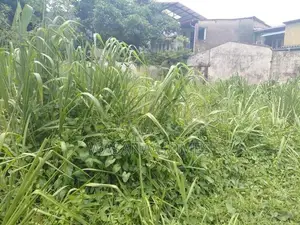 Best Land for Sale Borelesgamuwa