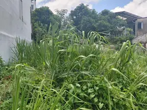 Best Land for Sale Borelesgamuwa