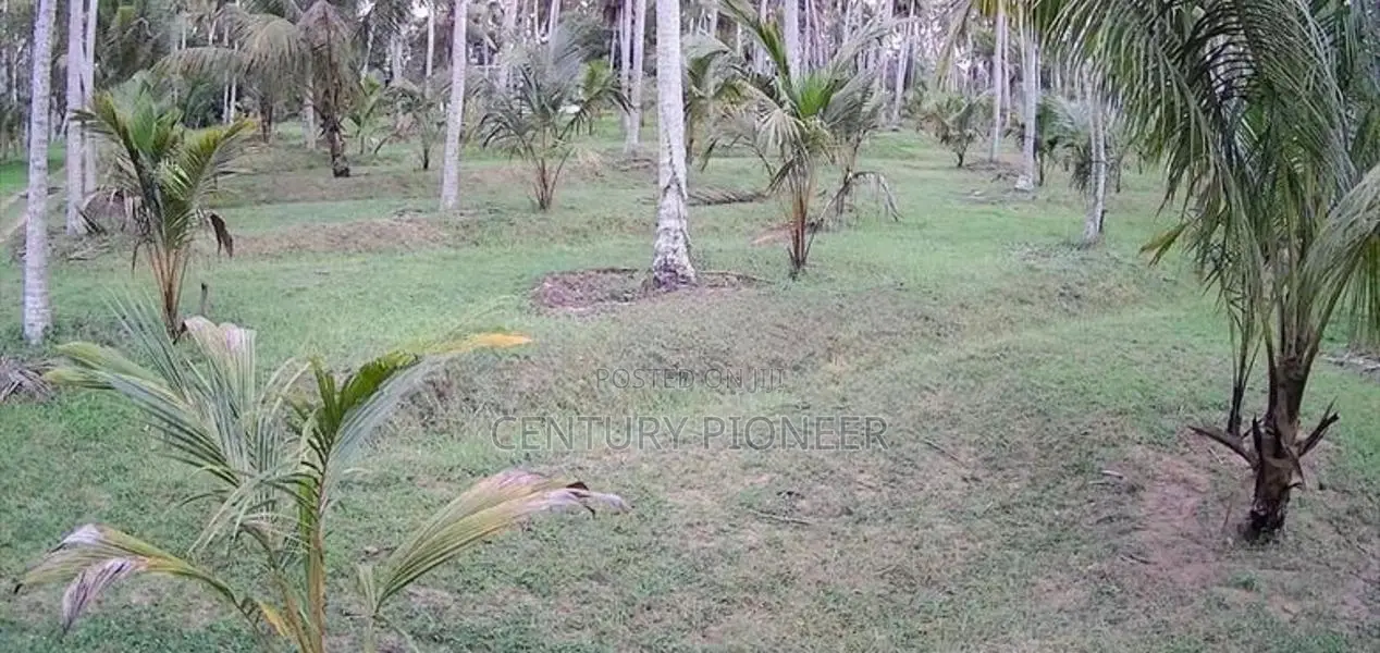 20 Acres of Coconut Estate for Sale in Madampe Dummalasuriya