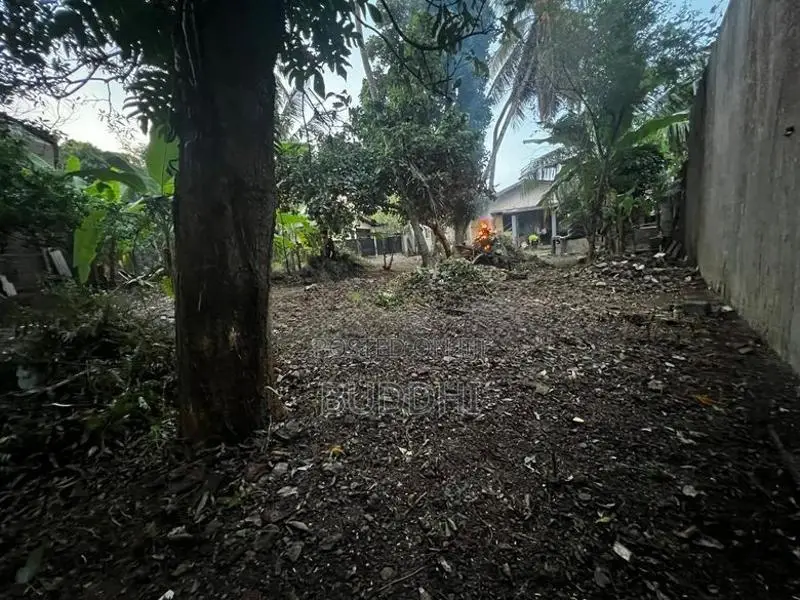 Land For Sale - Kohuwala