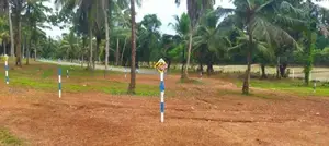 වේයන්ගොඩ කුඹලොලුව ඉඩමක් විකිණීමට