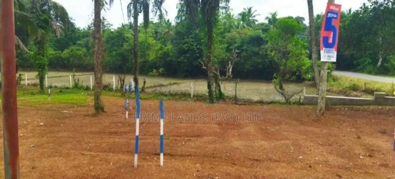 වේයන්ගොඩ කුඹලොලුව ඉඩමක් විකිණීමට