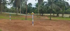 වේයන්ගොඩ කුඹලොලුව ඉඩමක් විකිණීමට