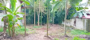 Land for Sale in Kandy