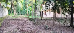 Land for Sale in Kandy