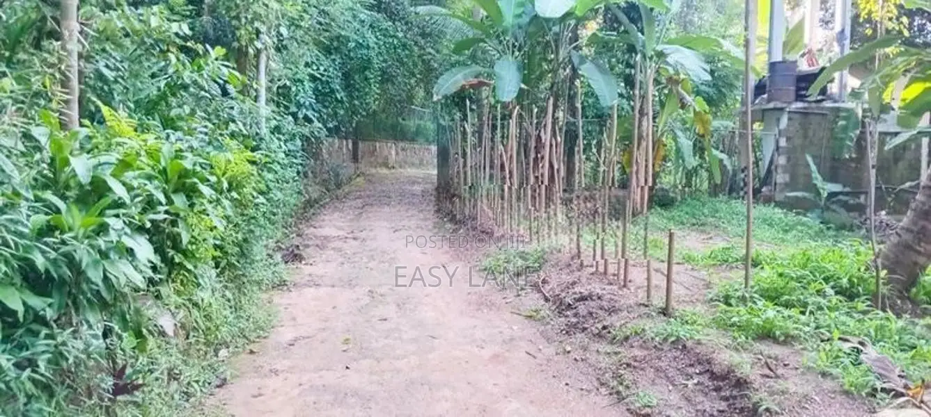 Land for Sale in Kandy