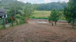 කඩවත දෙල්ගොඩ 210 බස් පාරට මිටර් 500යි සුන්දර වෙල්‍ යායකට මායිම්ව ඉඩම්