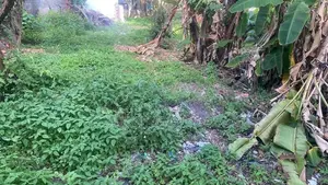 75 P Commercial Land for Sale facing 138 Bus – Nugegoda