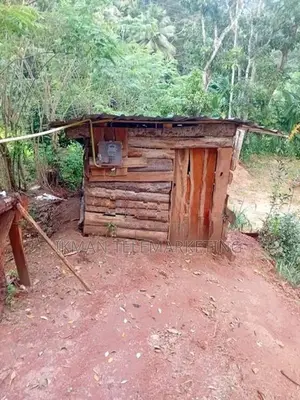 Land For Sale In Pilimathalawa