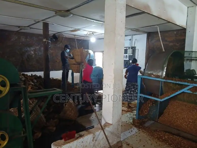 Coco Chip Factory for sale in Minuwangoda