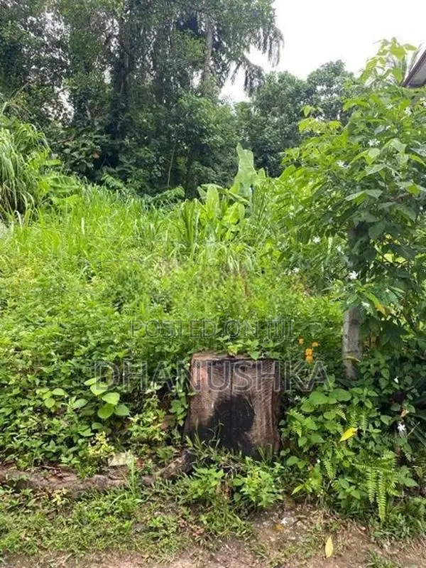 Land For Sale In Homagama