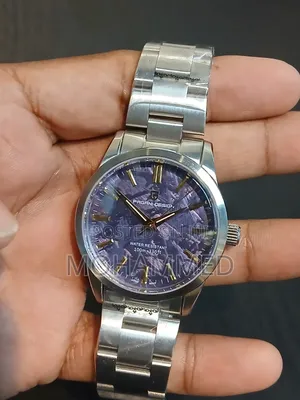 Pagani Design PD-1734 Mens Watch