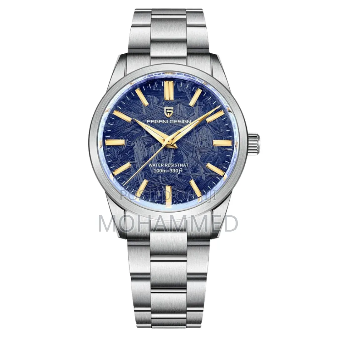 Pagani Design PD-1734 Mens Watch