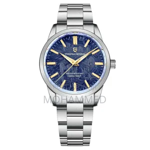 Pagani Design PD-1734 Mens Watch