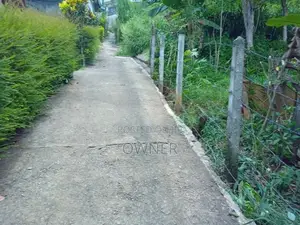 Land for Sale - Thalwatte