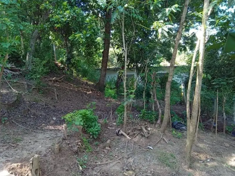 Land for Sale - Thalwatte