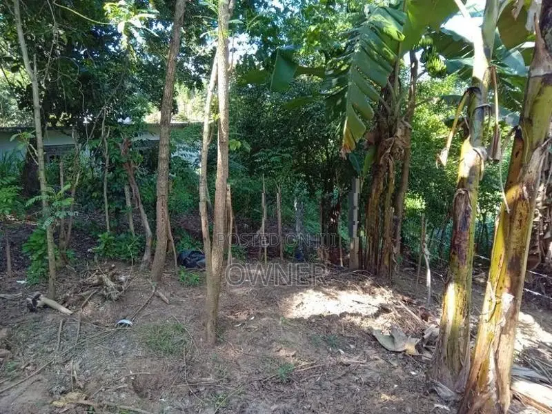 Land for Sale - Thalwatte