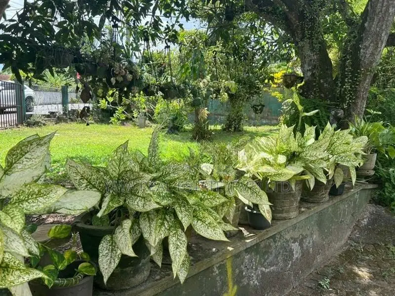 Residential Land for Sale in Thalawathugoda