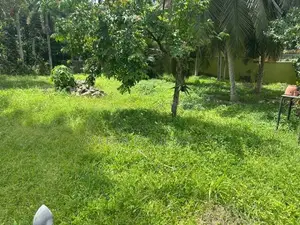 Residential Land for Sale in Thalawathugoda