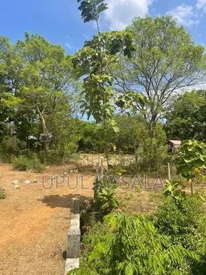 කතරගම ඉඩමක් විකිණීමට ඇත.
