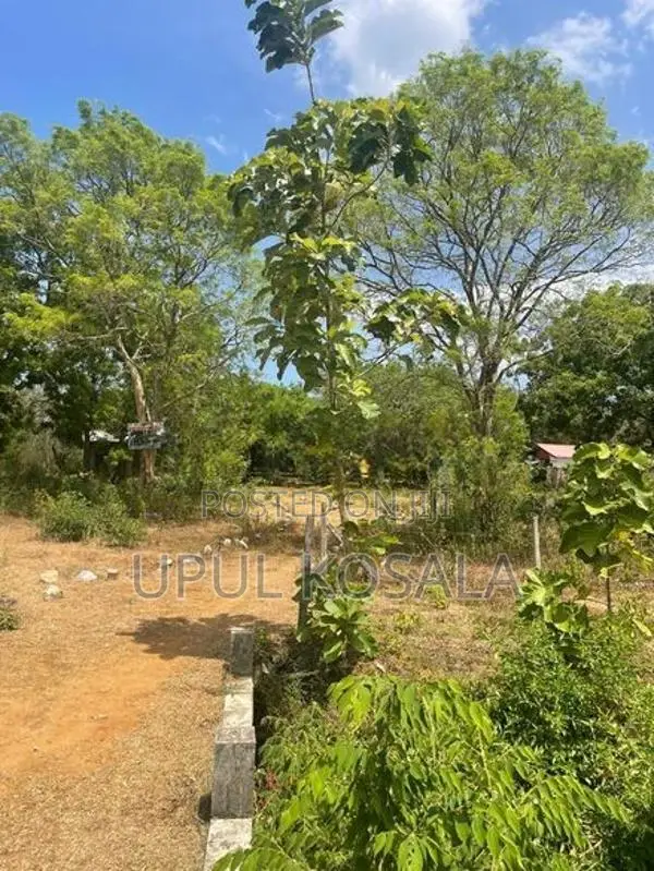 කතරගම ඉඩමක් විකිණීමට ඇත.