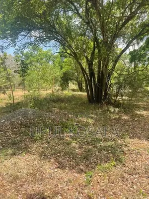 කතරගම ඉඩමක් විකිණීමට ඇත.