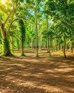 Galle - Koggala Lake Near Land for Sale