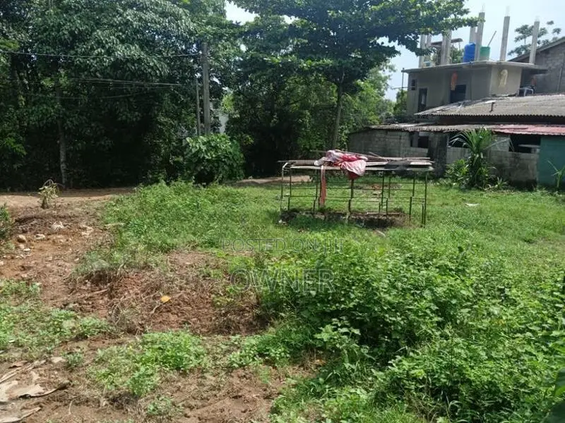 මාලබේ හෝකන්දර වානගුරු මාවත විකිණීමට ඉඩමක් ඇත