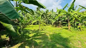Kiribathgoda Makola Excellent Residential Land for Sale
