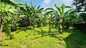 Kiribathgoda Makola Excellent Residential Land for Sale
