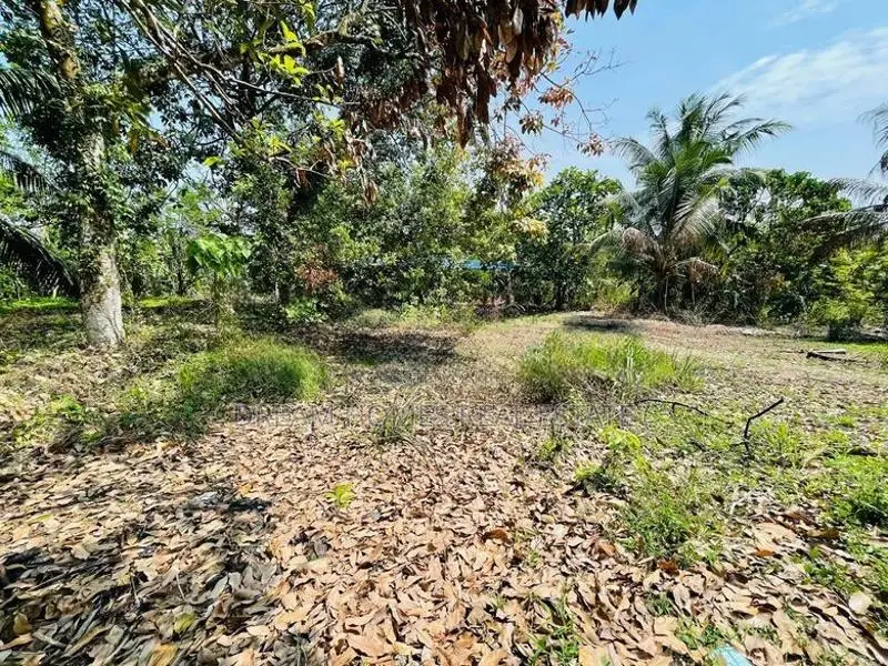Prime 50 Perch Land for Sale in Thalawathugoda – Kalalgoda