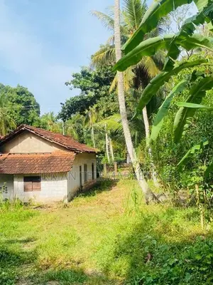 Land for Sale in Kahatagahawatta, Akaragama