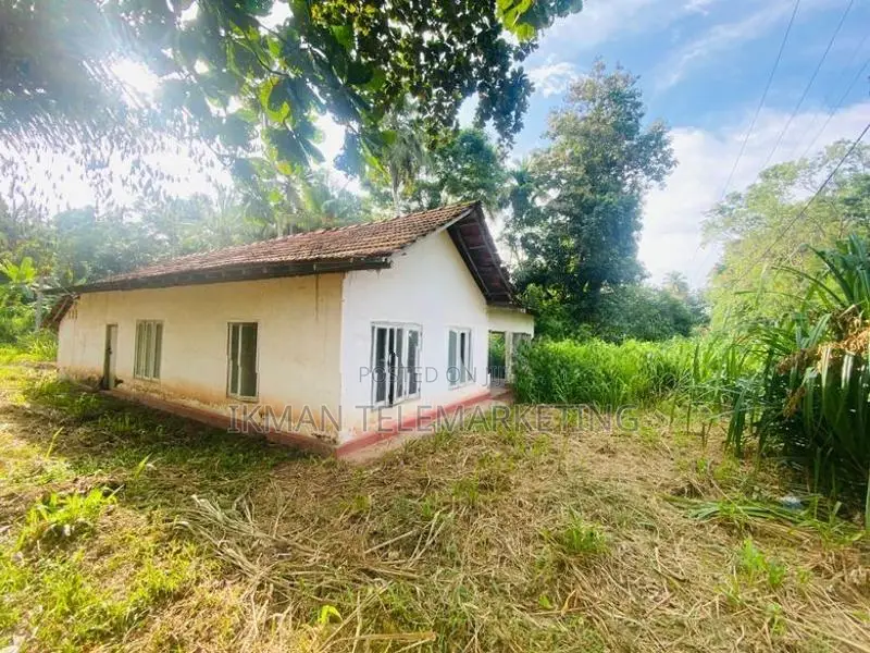 Land for Sale in Kahatagahawatta, Akaragama