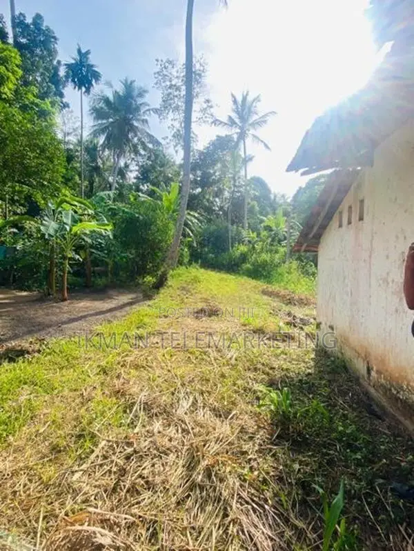 Land for Sale in Kahatagahawatta, Akaragama
